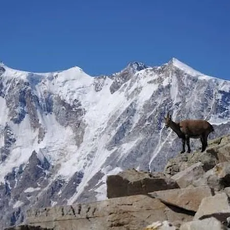 Haus Mondelli By Interhome 아파트 사스-알마겔