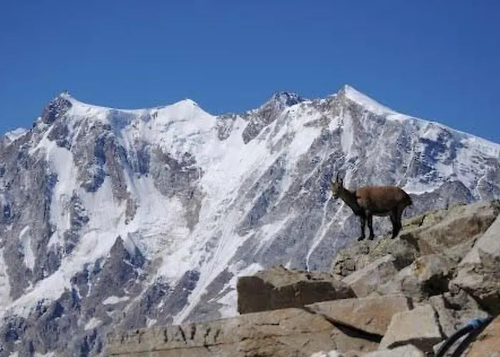 Haus Mondelli By Interhome Daire Saas-Almagell